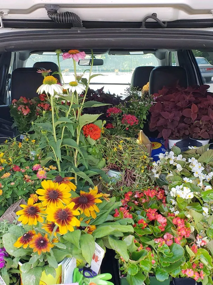 Expert yard maintenance in Matthews, NC by Pike Nurseries