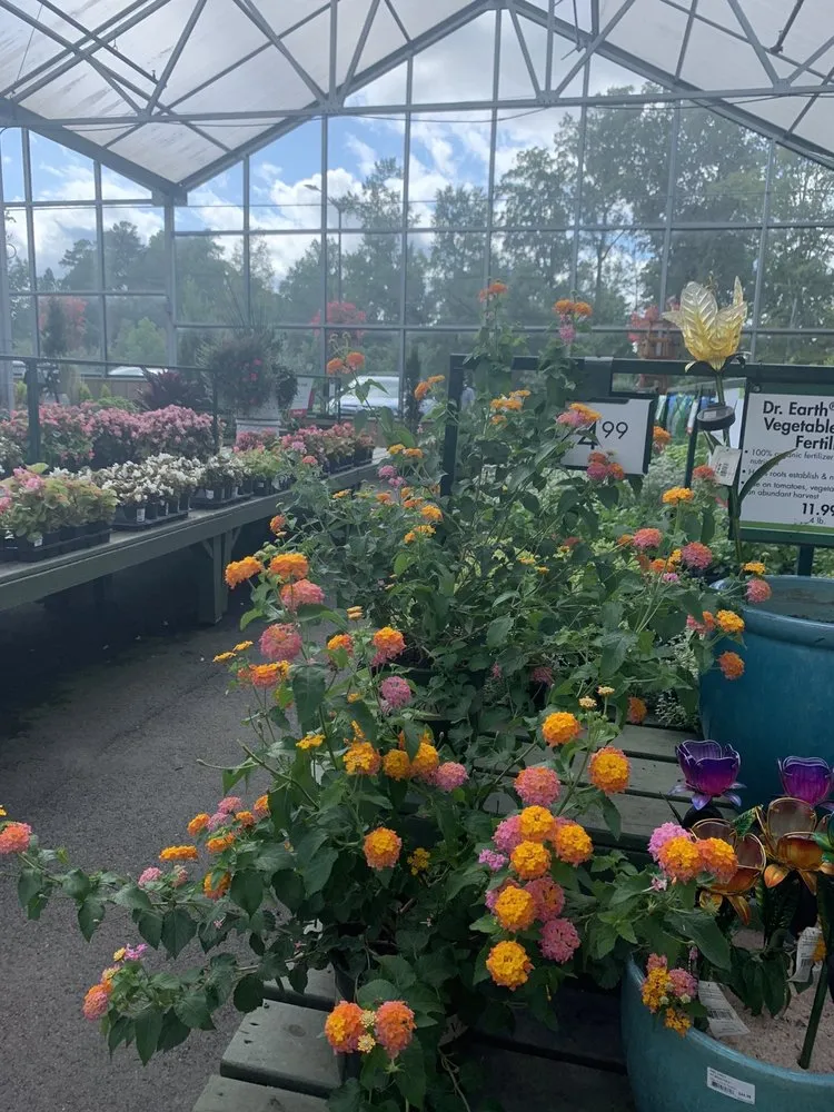 Trusted yard maintenance for homes across Matthews, NC - Pike Nurseries