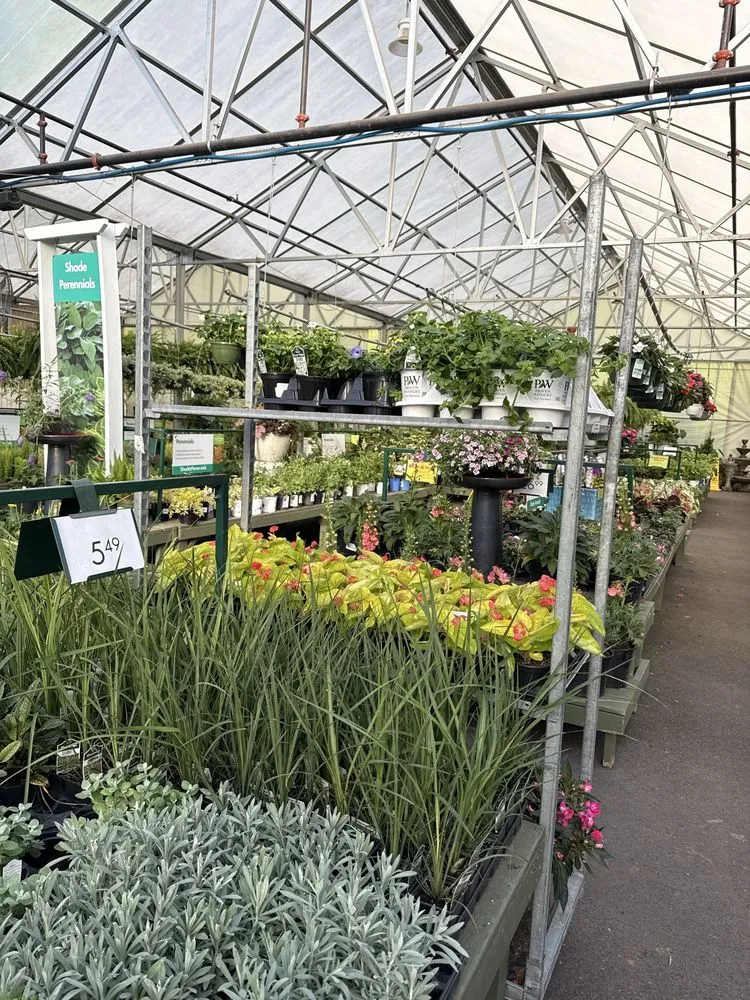 Reliable landscaping services in Matthews, NC - Pike Nurseries