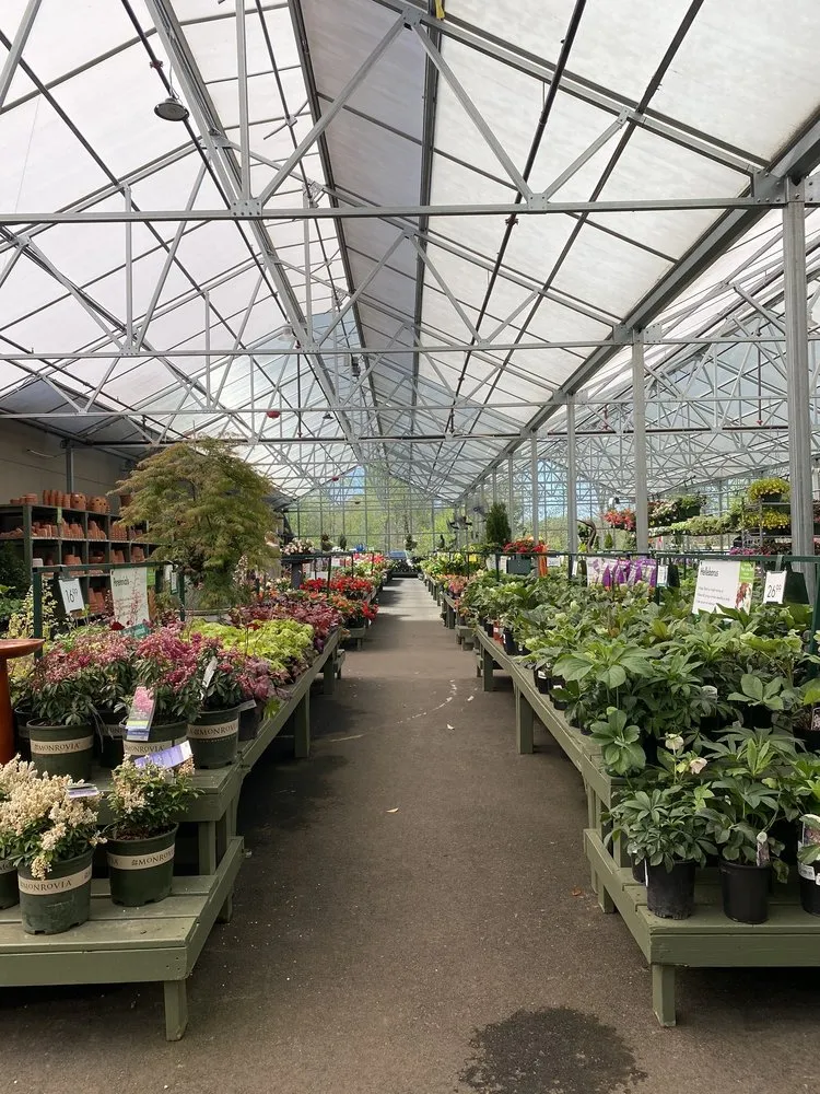 Expert yard maintenance in Matthews, NC - Pike Nurseries