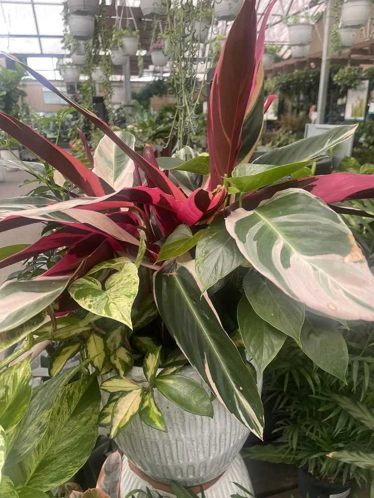 Professional garden landscaping for beautiful yards in Matthews, NC by Pike Nurseries