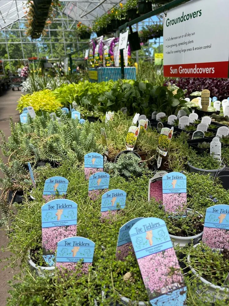 Local lawn care service in Matthews, NC - Pike Nurseries