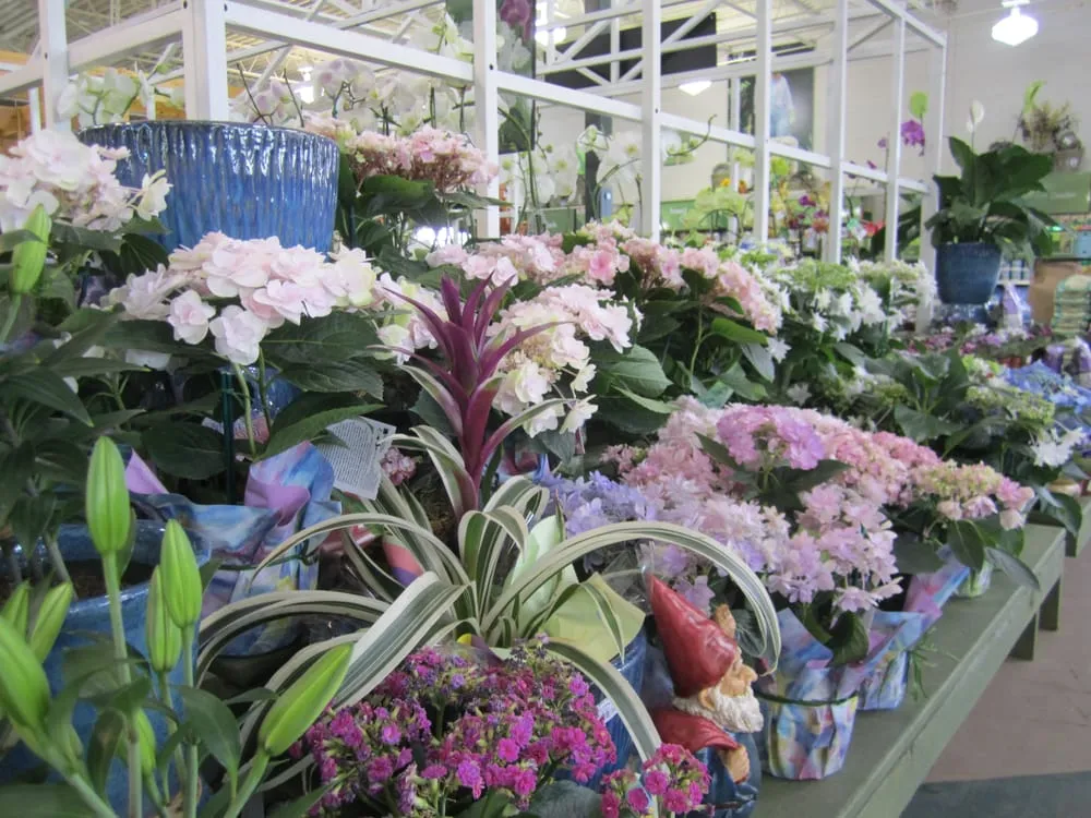 Professional yard maintenance experts serving Peachtree City, GA - Pike Nurseries