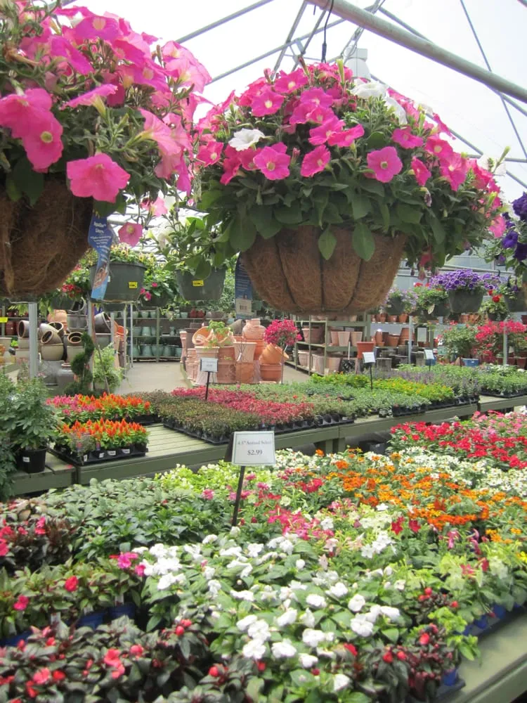 Local lawn care service for beautiful yards in Peachtree City, GA by Pike Nurseries