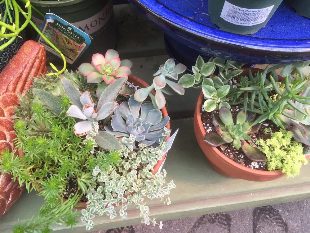 Top-rated outdoor landscaping near you in Roswell, GA by Pike Nurseries