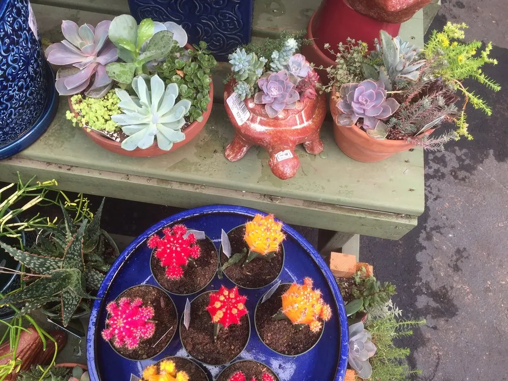 Reliable garden landscaping for outdoor upgrades across Roswell, GA - Pike Nurseries