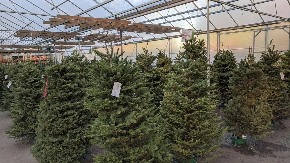 Professional yard cleanup service experts serving Roswell, GA - Pike Nurseries