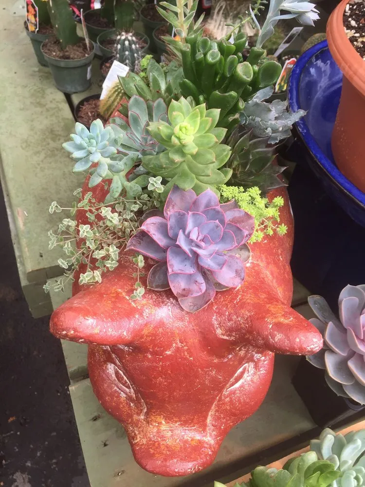 Trusted residential landscaping in Roswell, GA by Pike Nurseries