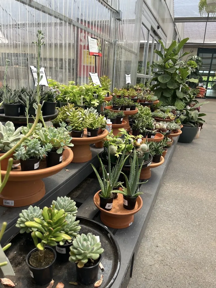 Expert yard maintenance in Suwanee, GA by Pike Nurseries