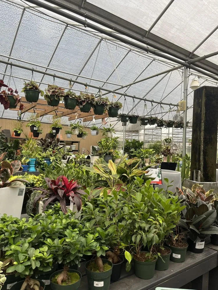 Trusted yard cleanup service experts serving Suwanee, GA - Pike Nurseries