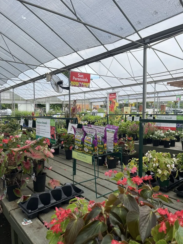 Affordable outdoor landscaping for outdoor upgrades across Suwanee, GA - Pike Nurseries