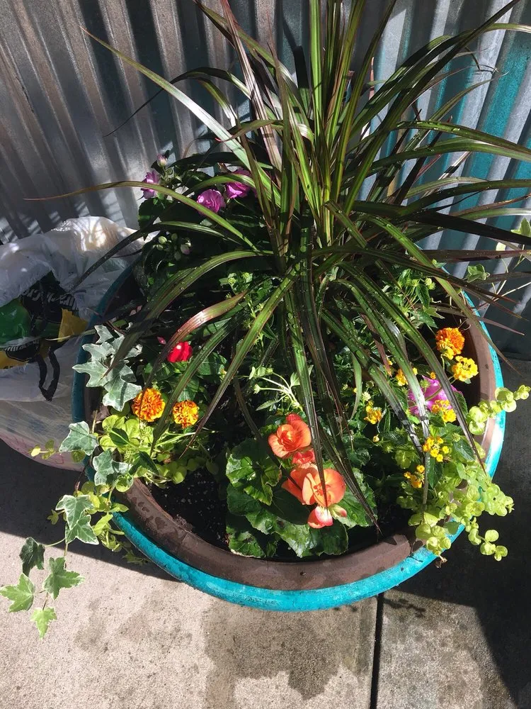 Expert landscape design in Woodstock, GA - Pike Nurseries