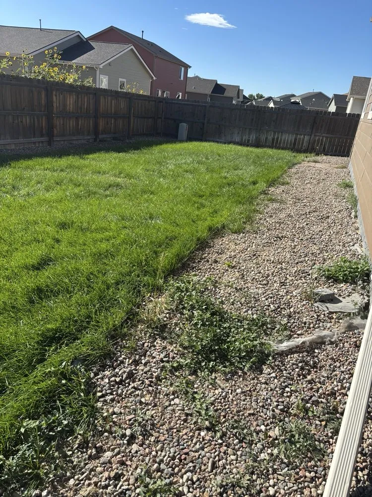 Affordable yard maintenance in Colorado Springs, CO - Pikes Peak Home and Yard