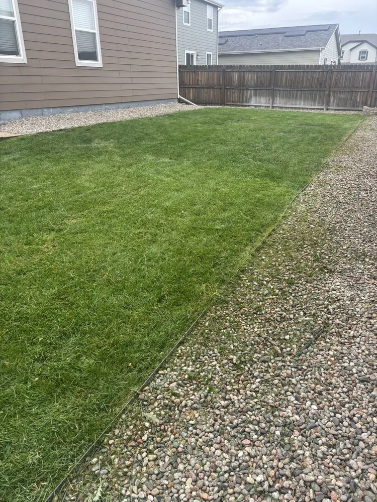 Affordable landscape design in Colorado Springs, CO by Pikes Peak Home and Yard