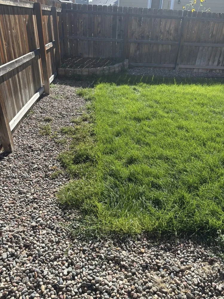 Trusted garden landscaping for outdoor upgrades across Colorado Springs, CO - Pikes Peak Home and Yard