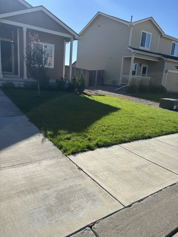 Top-rated yard maintenance in Colorado Springs, CO by Pikes Peak Home and Yard