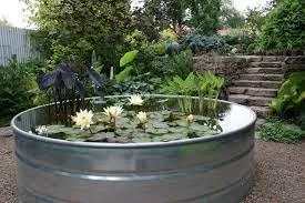 Expert outdoor landscaping near you across Falcon, CO - Pikes Peak Ponds