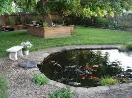 Trusted yard cleanup service in Falcon, CO by Pikes Peak Ponds