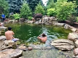 Custom landscape installation in Falcon, CO by Pikes Peak Ponds