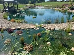 Trusted landscaping services in Falcon, CO - Pikes Peak Ponds