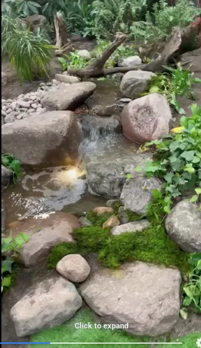 Local yard cleanup service experts serving Falcon, CO - Pikes Peak Ponds