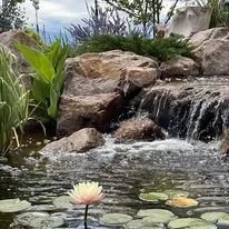 Expert outdoor landscaping with custom design in Falcon, CO by Pikes Peak Ponds