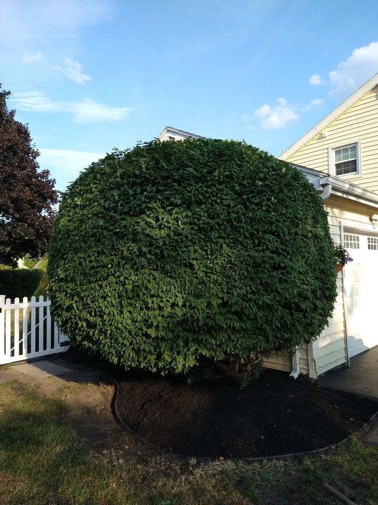 Trusted outdoor landscaping experts serving Irondequoit, NY - Pike's Plowing and Landscape