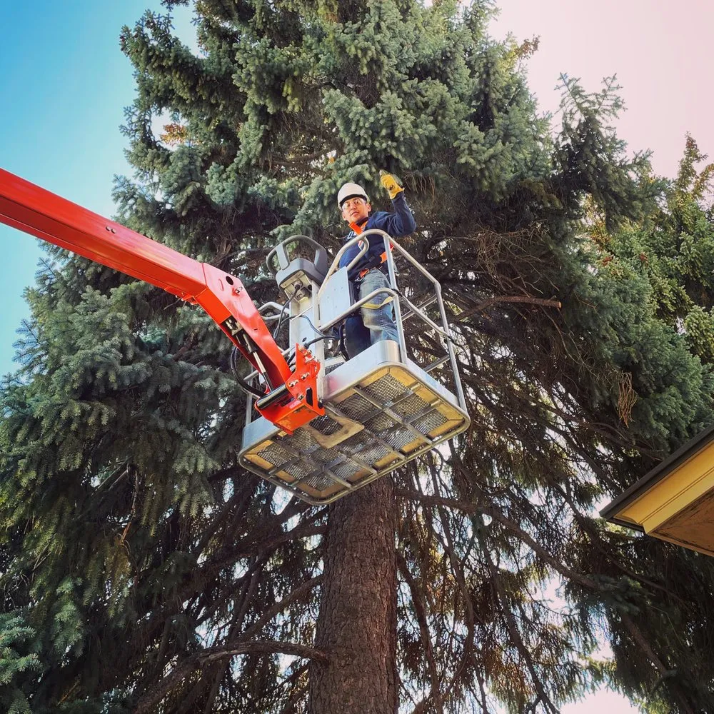 Local yard cleanup service near you across Billings, MT - Pikuni Lawncare