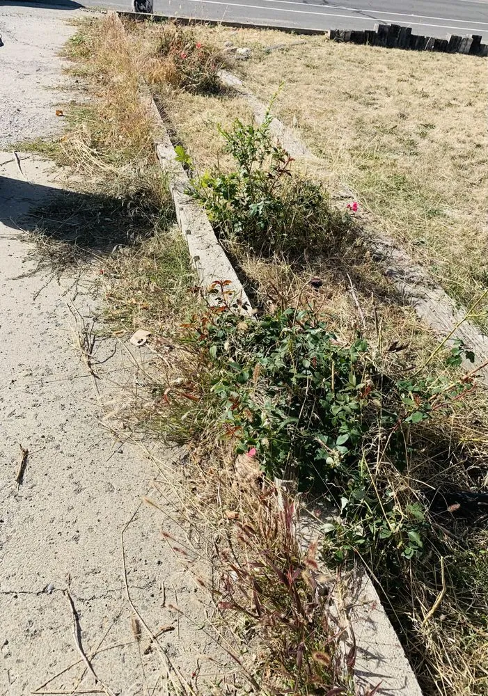 Affordable landscape installation for outdoor upgrades across Billings, MT - Pikuni Lawncare