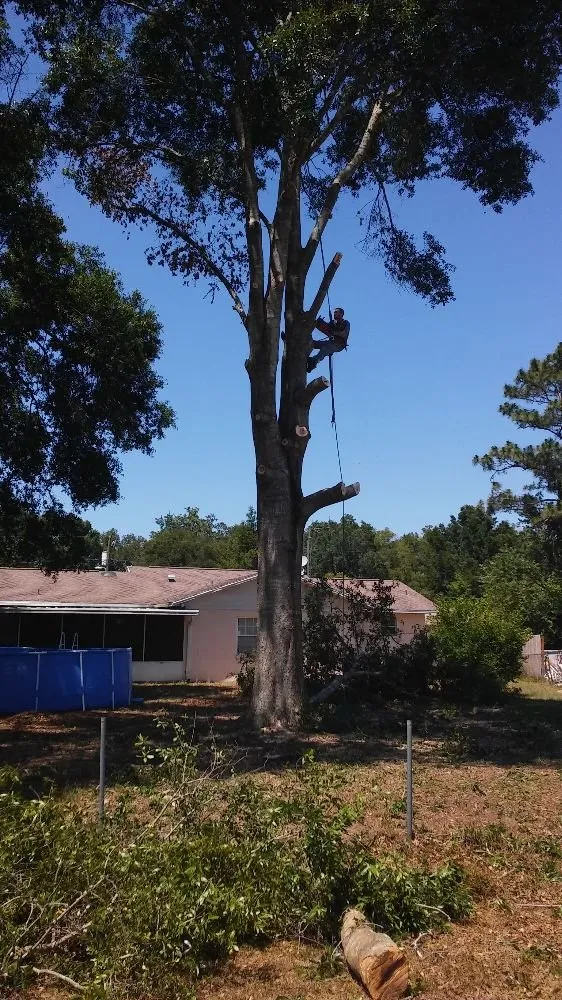 Custom lawn mowing service near you across Ocala, FL - Pilcher Tree Service & Lawn Care