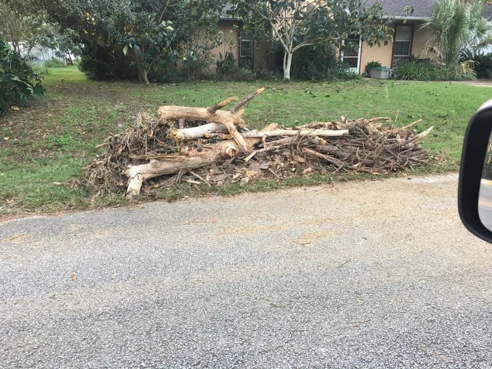 Top-rated residential landscaping in Ocala, FL - Pilcher Tree Service & Lawn Care