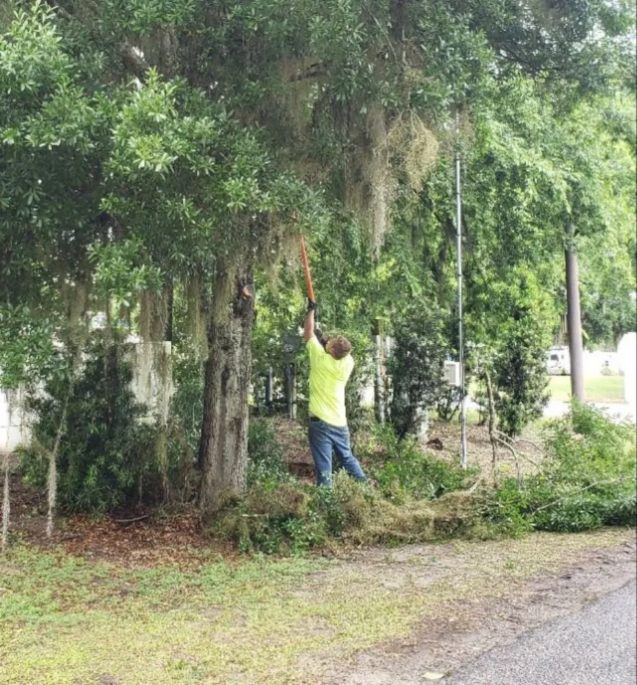 Local landscape design for year-round maintenance in Ocala, FL by Pilcher Tree Service & Lawn Care