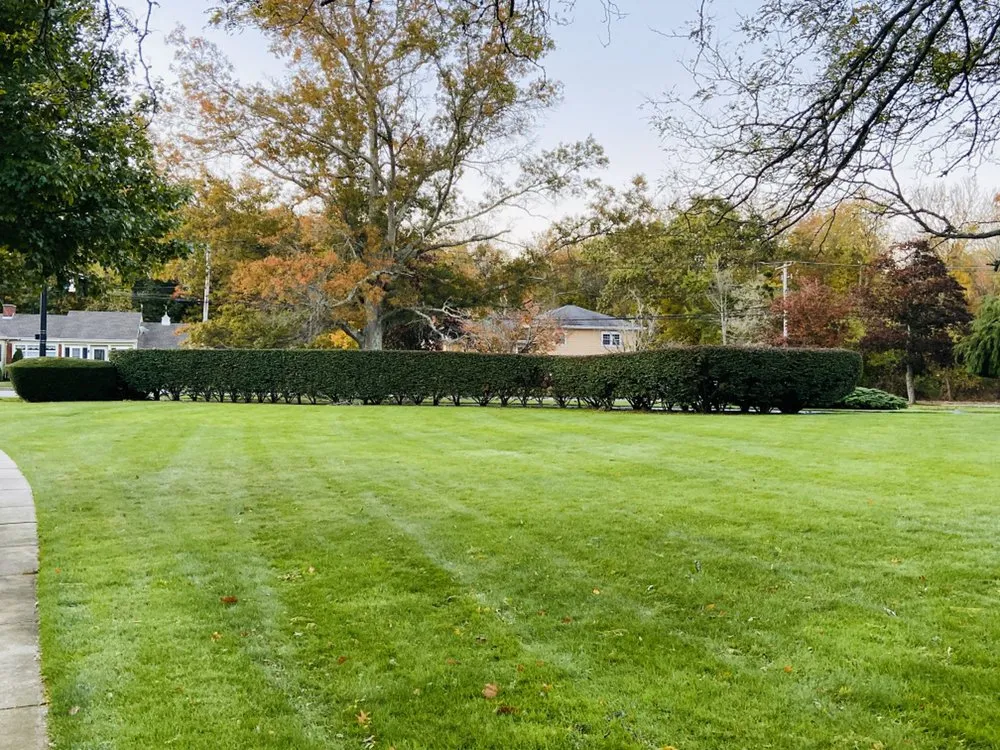 Custom yard cleanup service for beautiful yards across Hanover, MA - Pilgrims Landscape
