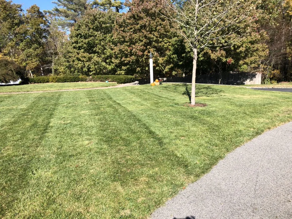 Expert garden landscaping for outdoor upgrades in Hanover, MA by Pilgrims Landscape