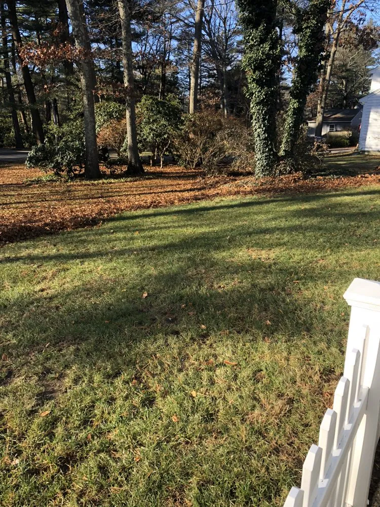 Affordable residential landscaping in Hanover, MA by Pilgrims Landscape