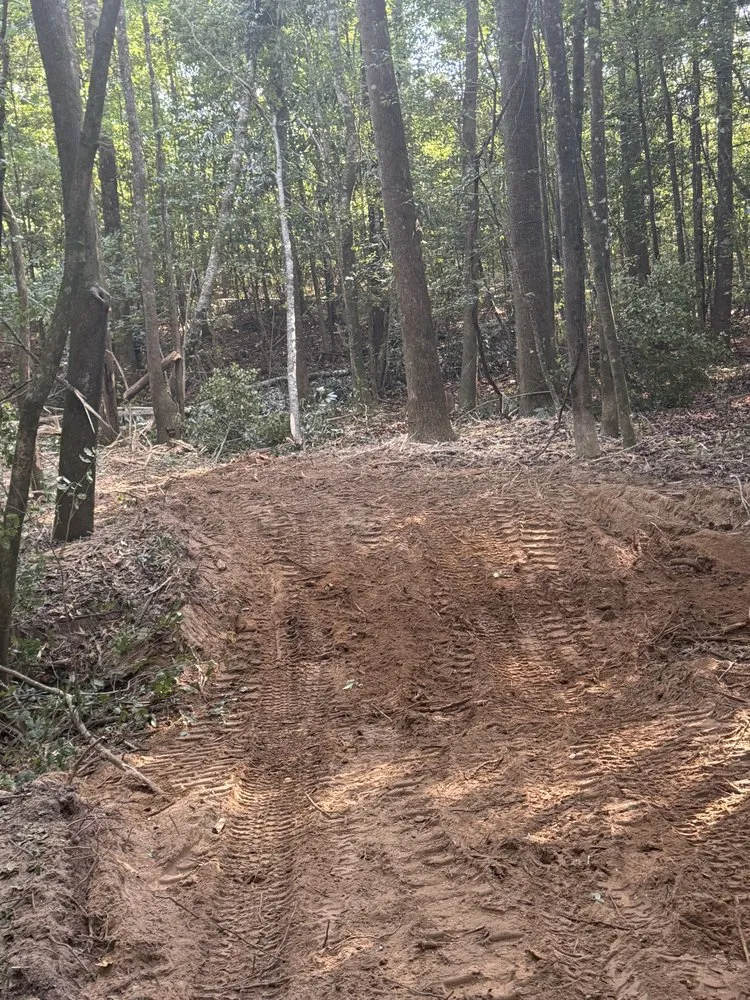 Professional landscaping services for homes in Ariton, AL by Pilot land management