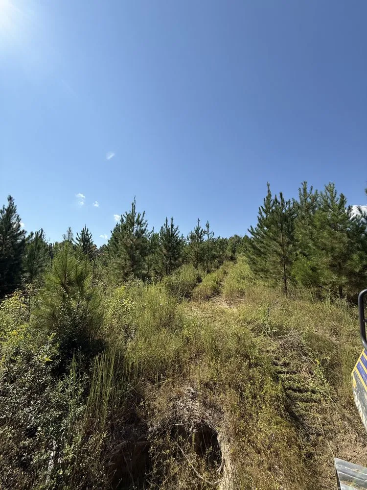 Trusted lawn mowing service for beautiful yards across Ariton, AL - Pilot land management