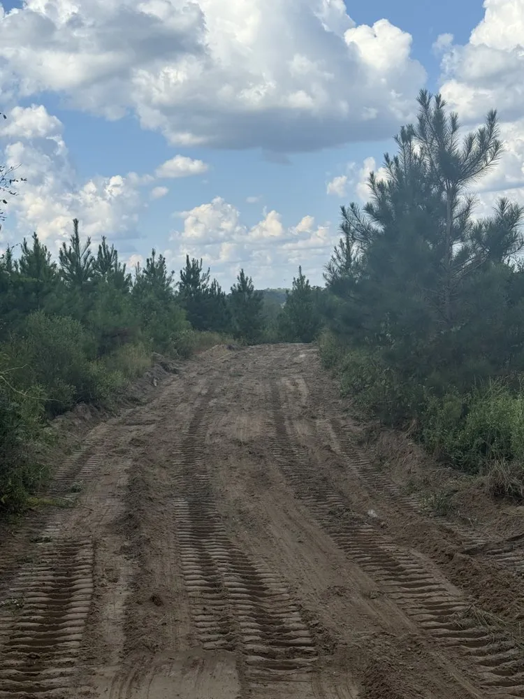 Expert landscape design with custom design across Ariton, AL - Pilot land management