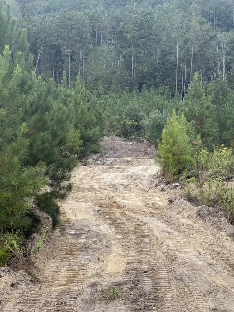 Reliable outdoor landscaping with custom design in Ariton, AL by Pilot land management