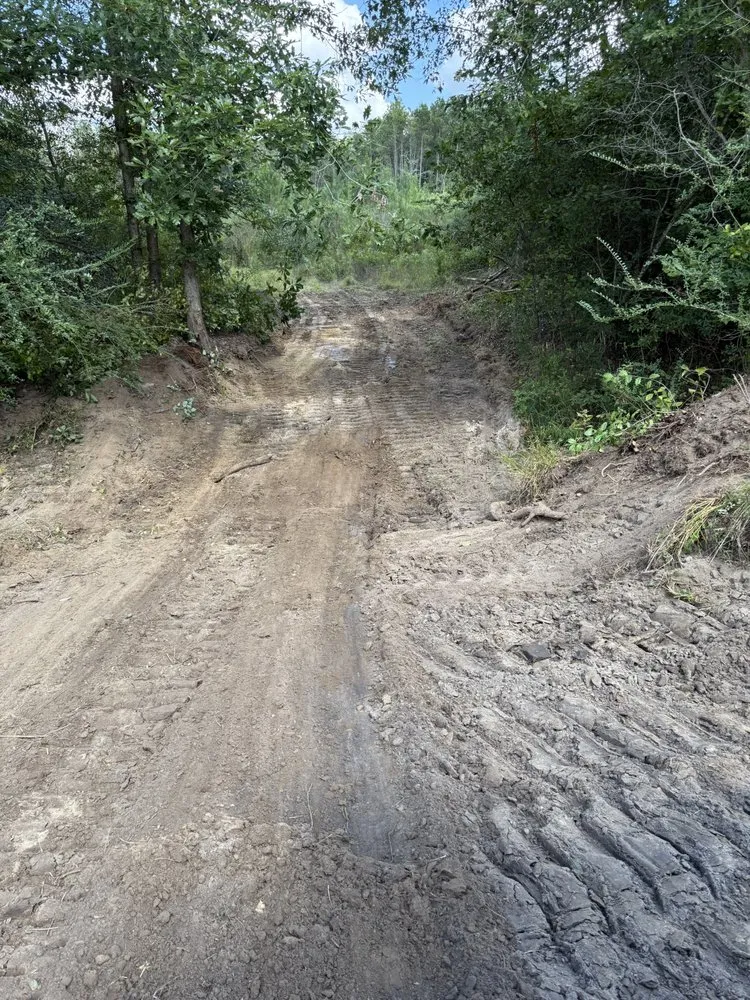 Reliable residential landscaping in Ariton, AL - Pilot land management