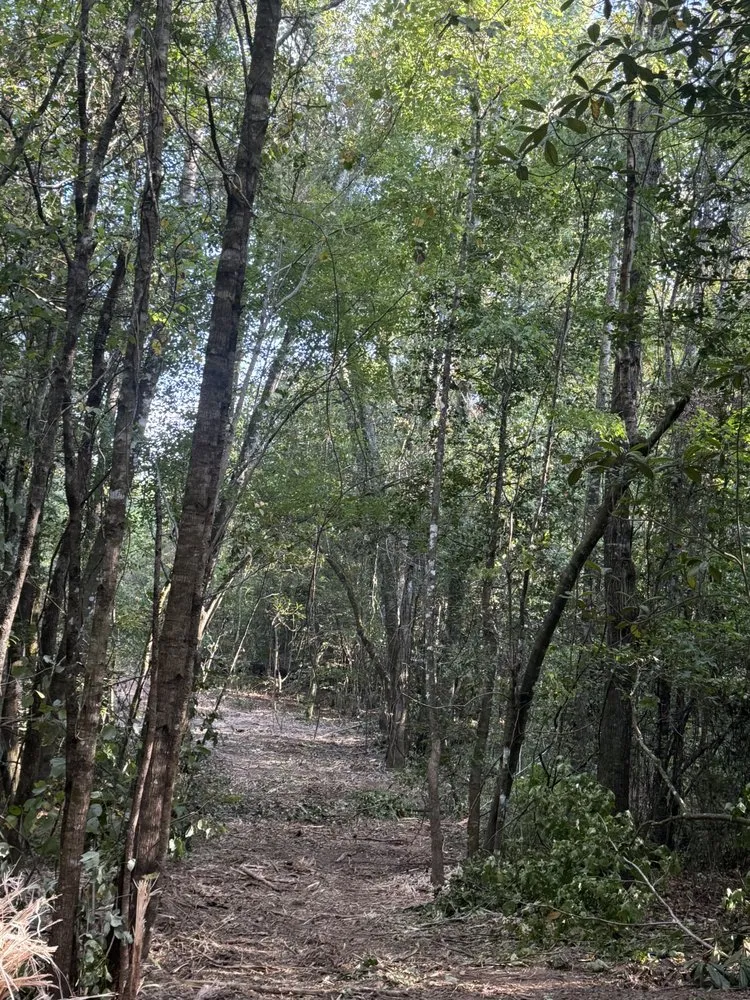 Trusted landscaping services in Ariton, AL by Pilot land management