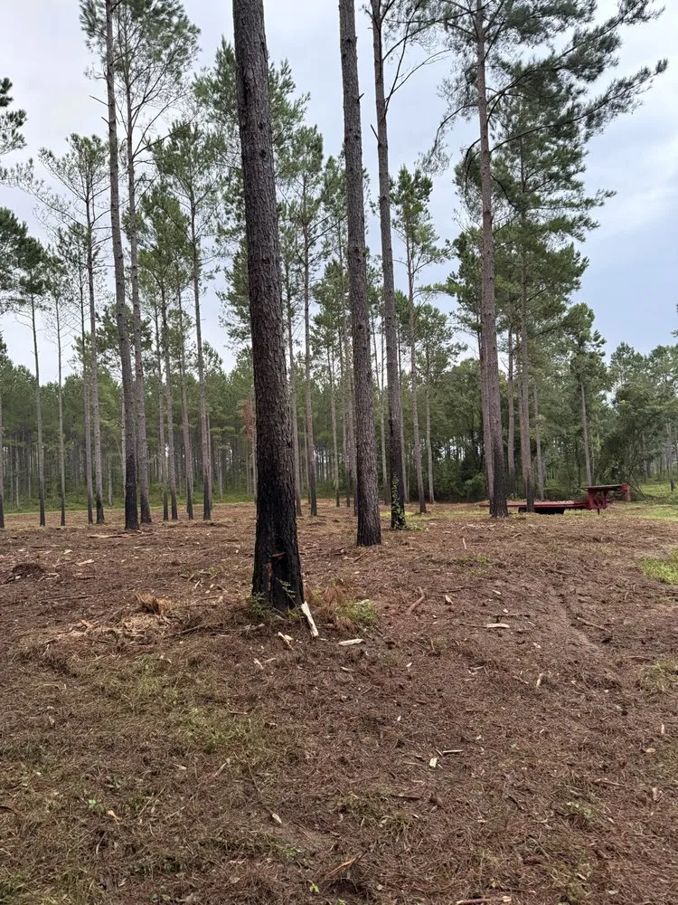 Affordable lawn mowing service in Ariton, AL - Pilot land management