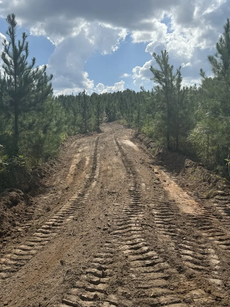 Professional yard maintenance in Ariton, AL by Pilot land management