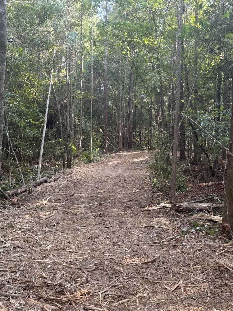Affordable landscape design with custom design across Ariton, AL - Pilot land management