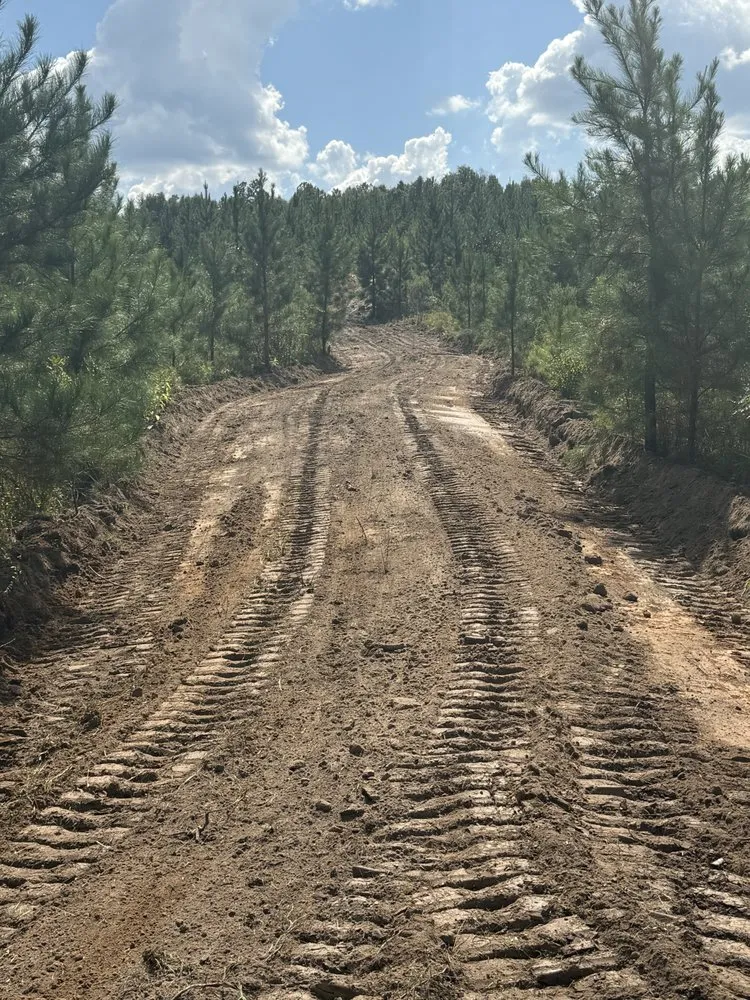 Top-rated yard cleanup service experts serving Ariton, AL - Pilot land management