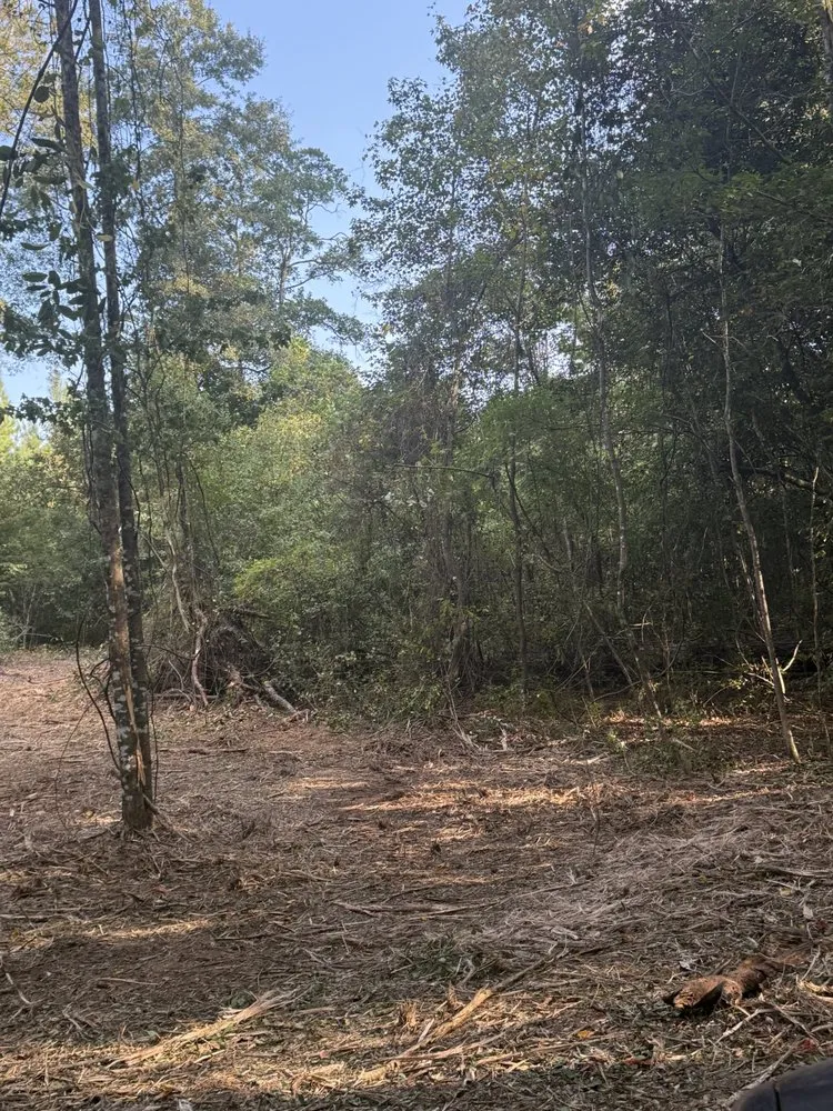 Top-rated outdoor landscaping experts serving Ariton, AL - Pilot land management