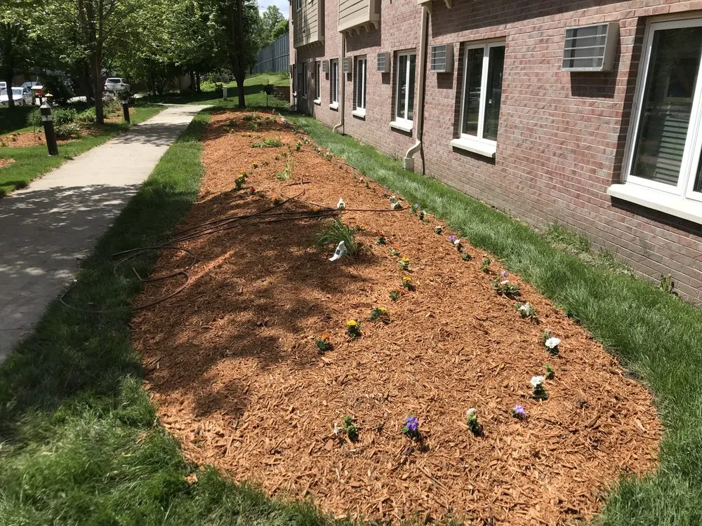 Custom yard cleanup service in WDM, IA by Pilot Landscape Solutions