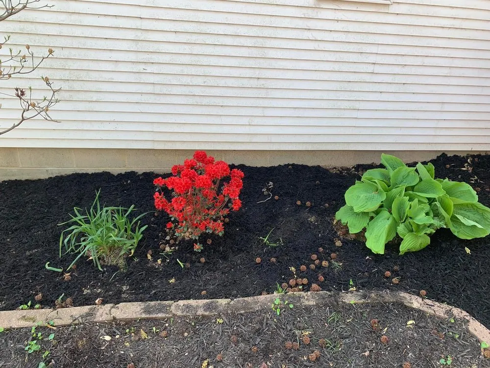 Professional yard cleanup service in Omaha, IL by Pilson Prince Lawn Care