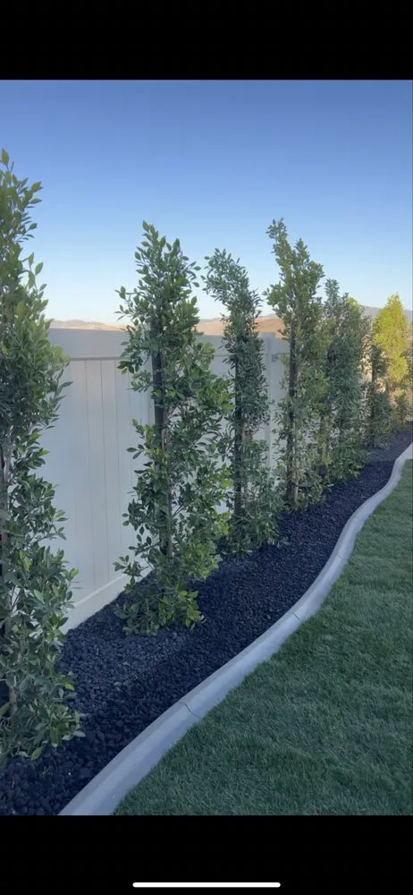 Top-rated yard cleanup service in Bakersfield, CA by Pimentel Landscaping