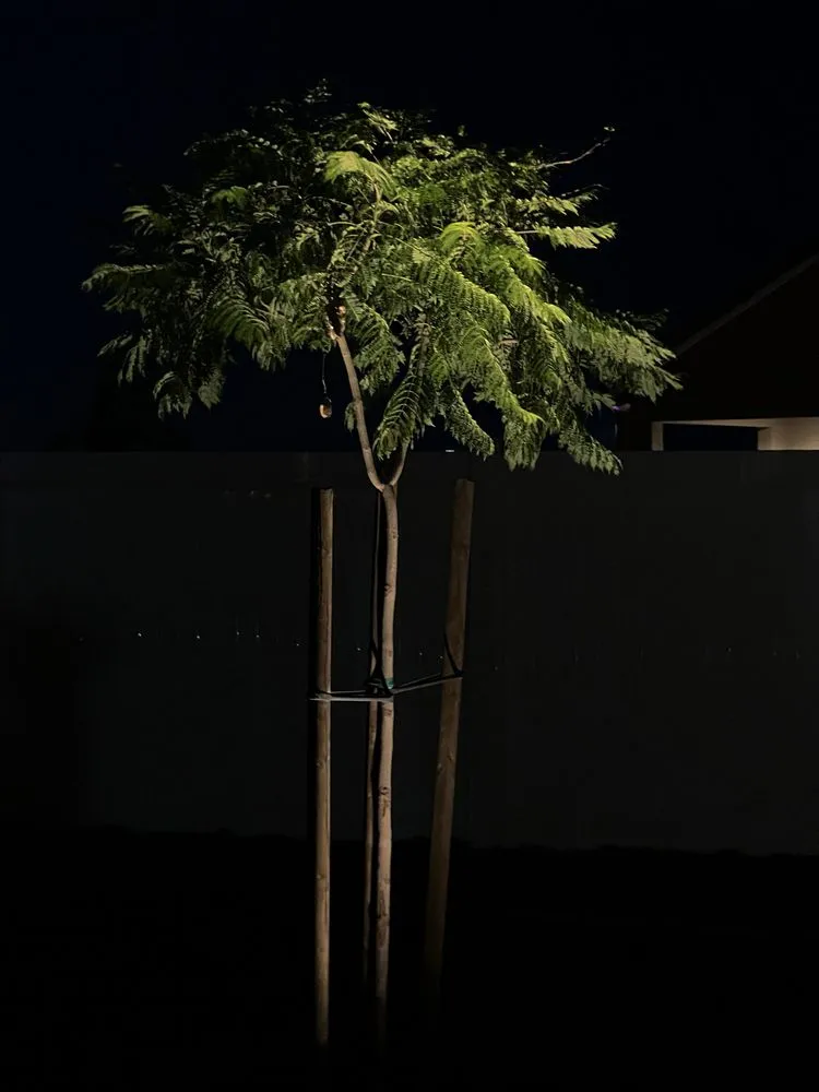 Local lawn mowing service in Bakersfield, CA - Pimentel Landscaping